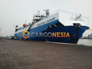 Jasa Pengiriman Cargo Atau Barang Besar Ke Kalimantan
